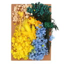 PATIKILナチュラルドライフラワー複数のカラフル本物のドライ押し花植物クラフト樹脂ソープキャンドルスクラップブッキング用ミックスカラー