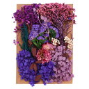 PATIKILナチュラルドライフラワー複数のカラフル本物のドライ押し花植物クラフト樹脂ソープキャンドルスクラップブッキング用パープル