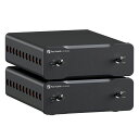 FOSIAUDIOV3MONO*2240Wモノラルパワーアンプ2個パックデジタルアンプ小型ミニサイズD級アンプバランスXLRRCA入力TPA3255搭載PFFB技術採用48V/10A電源アダプター付き日本語マニュアル付き