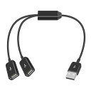 DUTTEKUSB二股分岐延長ケーブルUSB2.0スプリッターY字型延長ケーブル、2IN1USB2.0TYPEA1オスからデュアルメスのY(2)
