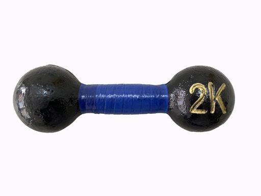 LITEC(ライテック) 鉄アレー 2kg DP004