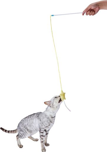 アクティブ 魔法のじゃらしでかわいく歯みがき!