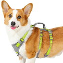 HUNTBOO犬ハーネス小型犬中型犬犬用ハーネス引っ張り防止抜けないサイズ調整可能夜間反射咳き込み防止歩行補助訓練散歩大型犬柴犬(グリーンM)(4)