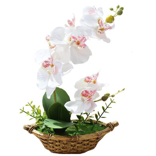 Other Aquatic Plants - 胡蝶蘭造花人工観葉植物光触媒加工卓上型船型の鉢植石鉢インテリアフェイクシルクフラワー胡蝶蘭新築祝いお開店祝いギフトに最適プレゼント敬老の日(白船鉢)