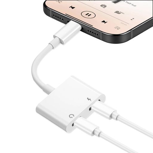 イヤホン変換アダプター 【2026新設計】ライトニングデュアルライン 30W急速充電同...