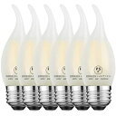 ZOHADTAKLEDエジソン電球シャンデリア電球60W形相当720LME266W復古電球磨りガラスの材質調光器非対応4000K昼白色PSE認証済み炎の型6個入...