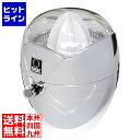 日本ゼネラルアプライアンス DBK シトラス ジューサー CJ65L 6326610