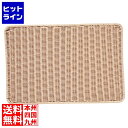 【お買い物マラソン】07/26 AM1:59まで シンドー 抗菌樹脂すのこ DS113 60型 ナチュラル