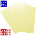富士フィルム 額装用バックシート 全紙 5入