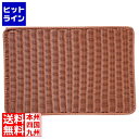 【お買い物マラソン】07/26 AM1:59まで シンドー 抗菌樹脂すのこ DS113 60型 ブラウン