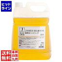 【お買い物マラソン】05/16 AM1:59まで ジェームズマーティン 薬用ハンドソープ詰め替え用5kg(注ぎ口別売)30091 2415050