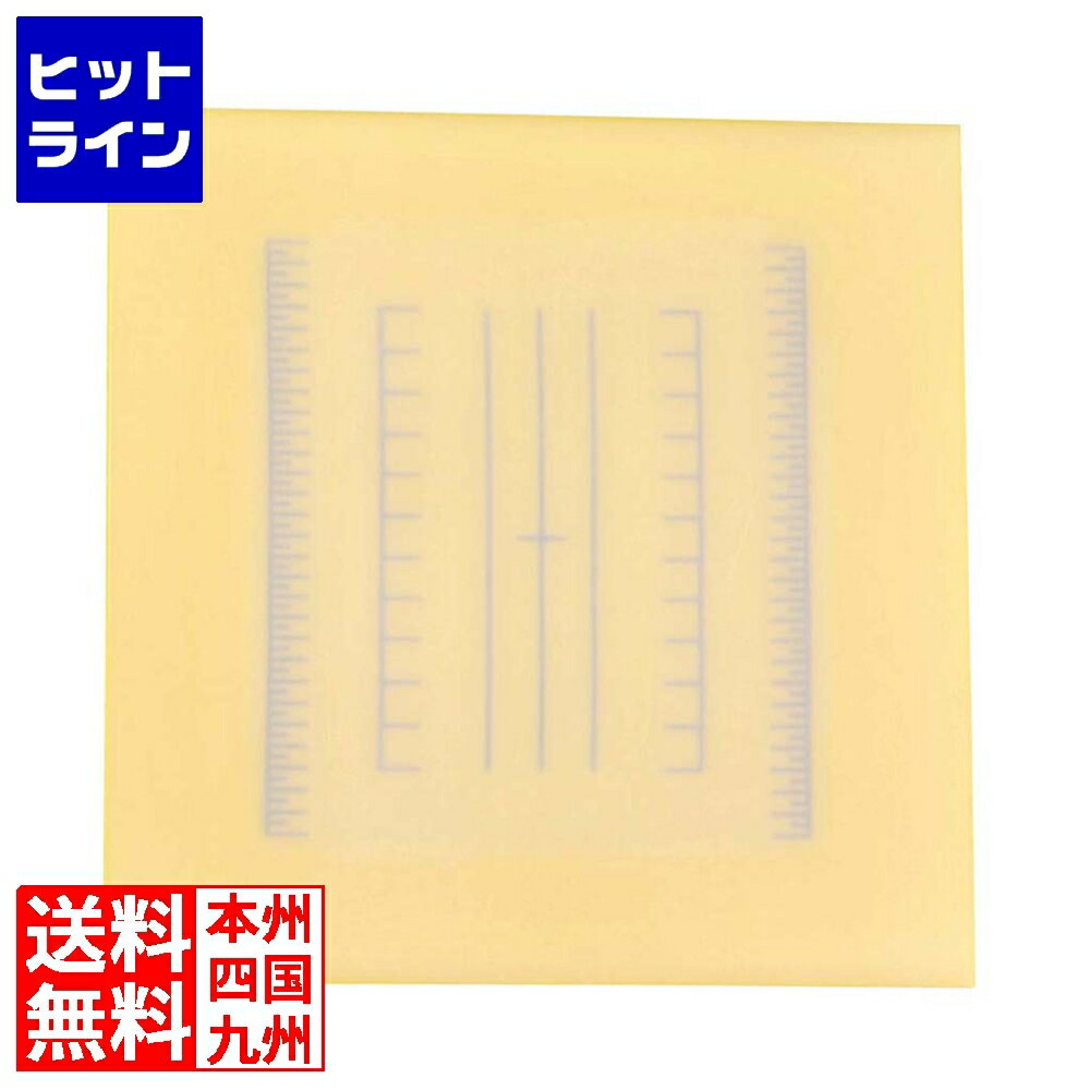 【3月18日感謝デー】 山県化学 調理用目盛り入りまな板 正方形 L イエロー 350×350 7346280
