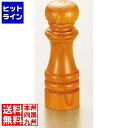 テイケイジイ IKEDA 6112 ソルトシェーカー PPP16