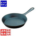 岩鋳 ファミリーパン 17cm 24015 IH対応 南部鉄器