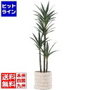 【お買い物マラソン】08/27 AM9:59まで 東谷 L15 プランターカバーM FAB-009B
