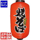 【お買い物マラソン】07/26 AM1:59まで のぼり屋工房 ビニール提灯 9号 長型No.9087 焼そば YTY3601