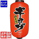 【お買い物マラソン】07/26 AM1:59まで のぼり屋工房 ビニール提灯 9号 長型No.9077 ギョーザ YTY2901