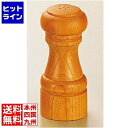 テイケイジイ IKEDA 4112 ソルトシェーカー PPP18