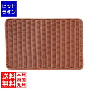 【お買い物マラソン】07/26 AM1:59まで シンドー 抗菌樹脂すのこ DS113 56型 ブラウン