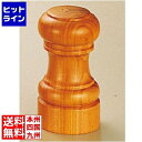 テイケイジイ IKEDA 3112 ソルトシェーカー PPP20