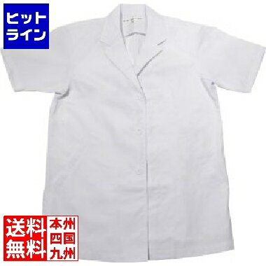 【お買い物マラソン】07/26 AM1:59まで セブンユニフォーム コート(調理服)AA312-8 M