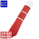 カンダ (KANKUMA) 衛生ササラブラシ斜め(樹脂製) 赤 ASS1702