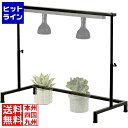 ビザールプランツライトスタンド LPS-800-BK 観葉植物 植物育成ライト 多肉植物 棚 ライト 台 フラワースタンド プランタースタンド 塊根植物 室内