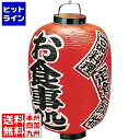【お買い物マラソン】08/11 AM1:59まで 高山商店 ビニール提灯 印刷15号長型 お食事処 b305 YTY05008