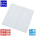 帝人フロンティア オルソーブ パワークリーン 500×500(20枚入)