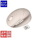 サンワサプライ 静音ワイヤレス小型エルゴノミクスマウス(充電式・5ボタン) MA-EWBS522BG(2)