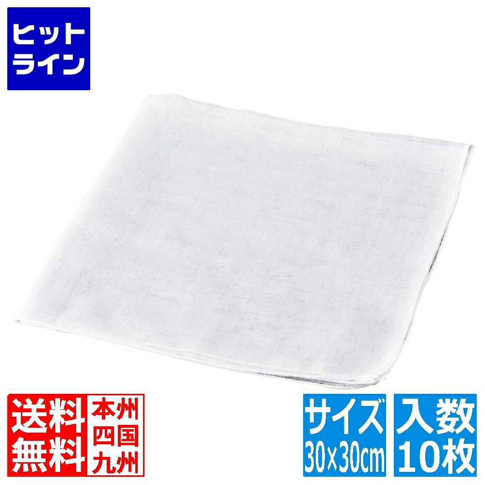 江部松 EBM カットガーゼ(10枚入)30×30cm 7345010 4-0593-0801