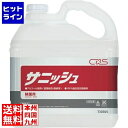 シーバイエス アルコール製剤 サニッシュ 5L T30305