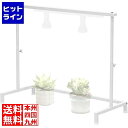 ビザールプランツウォールラック LPW-2100-WH ホワイト 植物育成ライト サーキュレーター 取り付け可能 ビカクウォール ビカクシダ 植物棚 観葉植物 ...