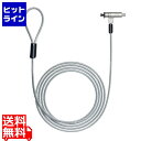 サンワサプライ スロット標準&nano対応セキュリティワイヤー(シリンダ錠) SL-91