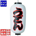 【お買い物マラソン】08/11 AM1:59まで 高山商店 ビニール提灯 印刷9号長型 うどんb231 YTY03011