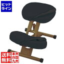 【お買い物マラソン】06/27 AM1:59まで プロポーションチェア CH-DBR88W ダークブラック 宮武製作所 | チェア 椅子 イス矯正 背中 姿勢 補助 子供部屋 キャスター