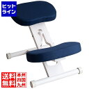 【お買い物マラソン】06/27 AM1:59まで 宮武製作所 ミヤタケ プロポーションチェア CH-N88W ホワイトネイビー CH-N88W