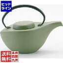 【お買い物マラソン】05/16 AM1:59まで 岩鋳 急須 曳舟 艶消若草 南部鉄器