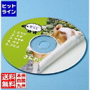 サンワサプライ インクジェットDVD/CDラベル(つやなしマット) LB-CDR001N-100