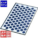 テルモハウザー サーモ クッキーカッティングシート 菊型 47511 72ヶ取 WKTN51
