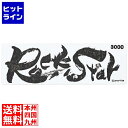 シャプトン セラミック砥石 ロックスター ステンレス製収納ケース付 仕上砥 #3000 2311060