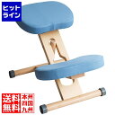 宮武製作所 ミヤタケ プロポーションチェア CH-N88W ナチュラルライトブルー CH-N88W(3)