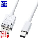 TTvC ~j-DisplayPortϊP[u1m KC-DPM1W