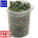 【お買い物マラソン】06/27 AM1:59まで キャンブロ 丸型フードコンテナー半透明RFS18PP AHC5607