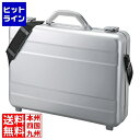 サンワサプライ PCアルミケース BAG-AL4N2(2)