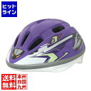 新幹線ヘルメット 500 TYPE EVA 209-00005