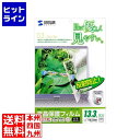 サンワサプライ 13.3型ワイド(16:10)対応液晶保護反射防止フィルム LCD-133W3