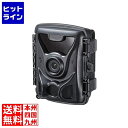 サンワサプライ 連続録画機能付きトレイルカメラ CMS-SC07BK