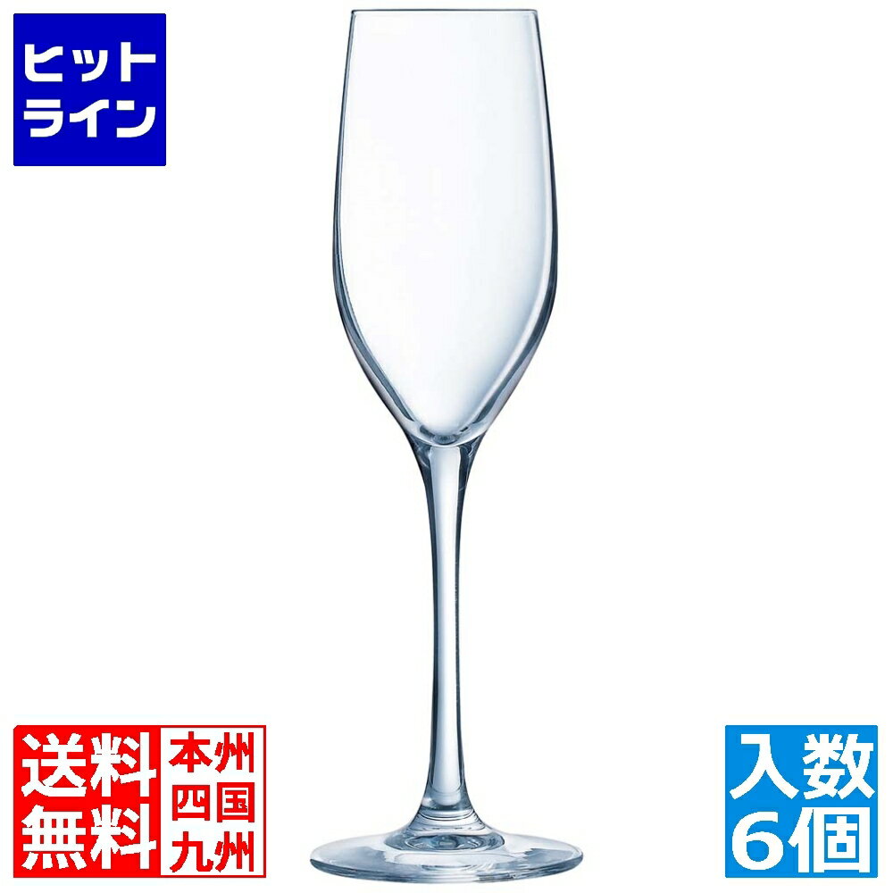 【BLACK FRIDAY】11/27 AM1:59まで アルク (ARC) シークエンス フルート 17 L9947(6個入) 2308550