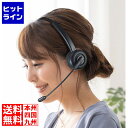 サンワサプライ Bluetoothヘッドセット(単一指向性マイク内蔵) MM-BTMH58BK
